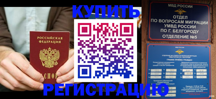 прописка 2025 в Шлиссельбурге